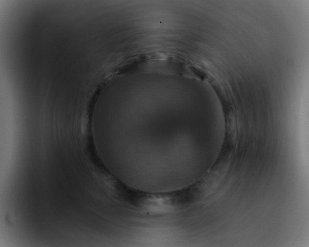 X0000093130760200710031351