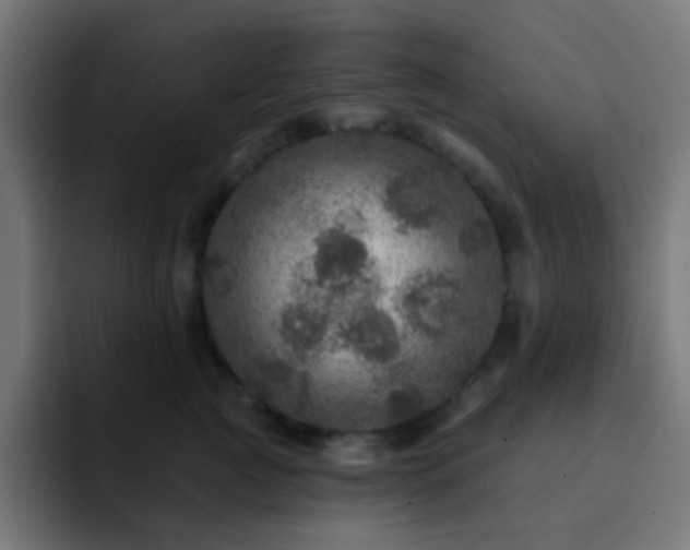 X0000093130761200710031351