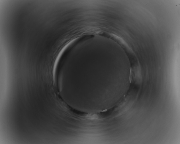 X0000093130762200710031351