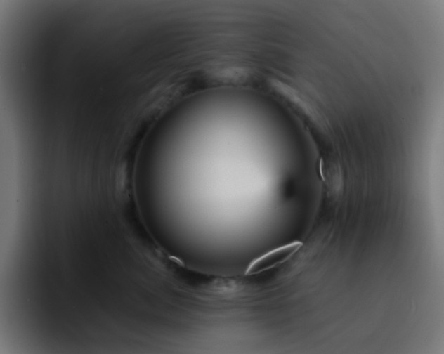 X0000093130764200710031352