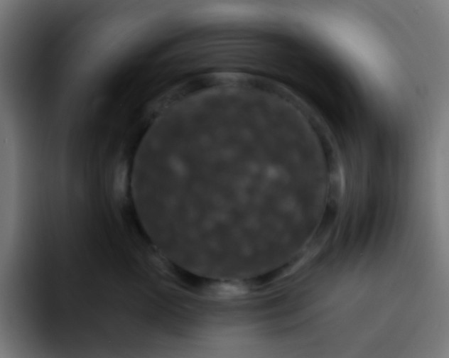 X0000093130765200710031352
