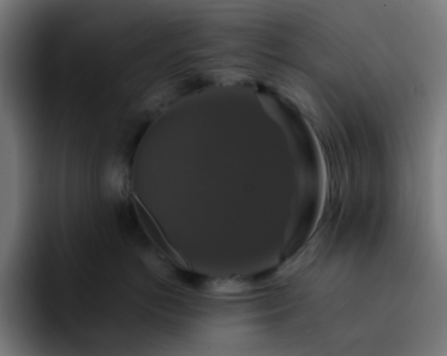 X0000093130766200710031352