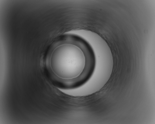 X0000093130768200710031352