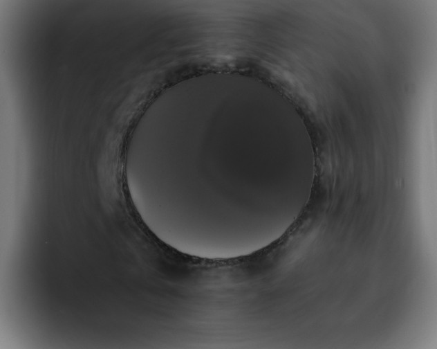 X0000093130769200710031351