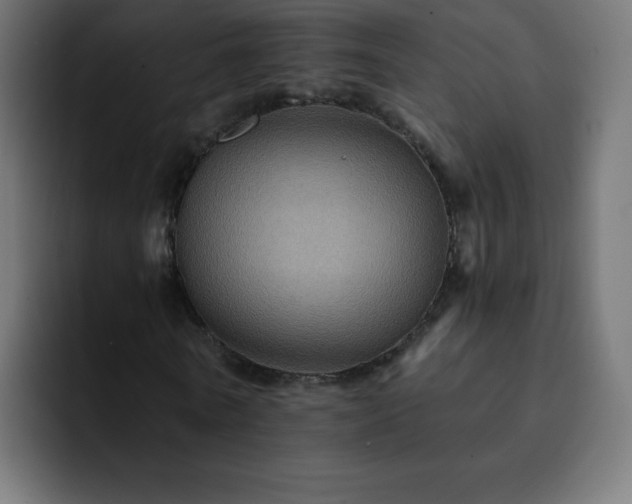 X0000093130770200710031351