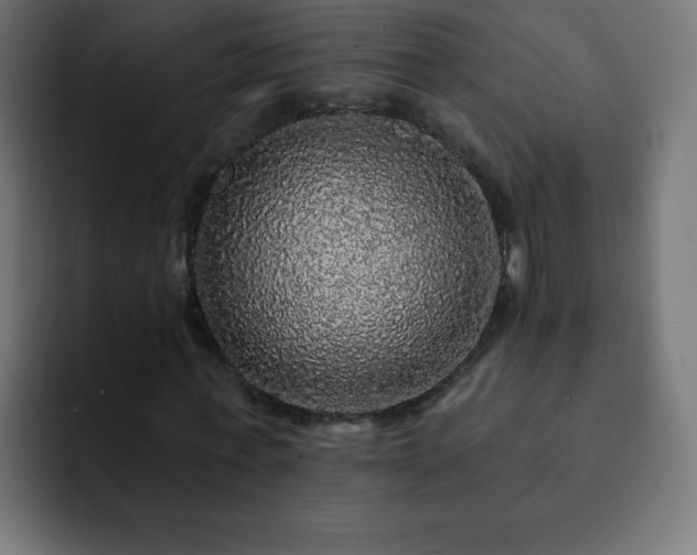 X0000093130771200710031351