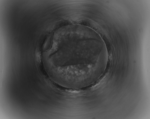 X0000093130772200710031351