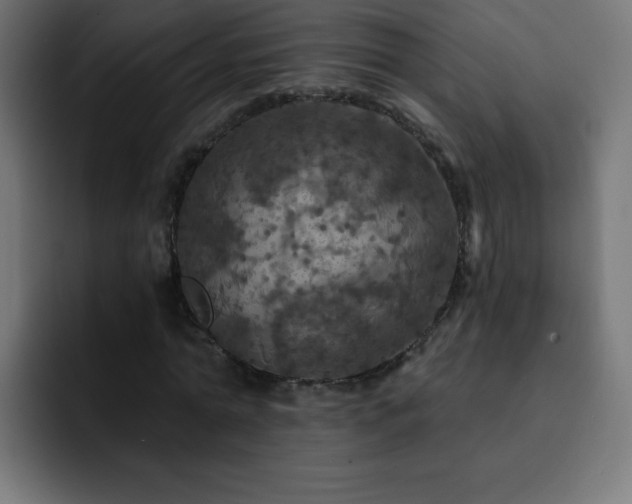 X0000093130774200710031351