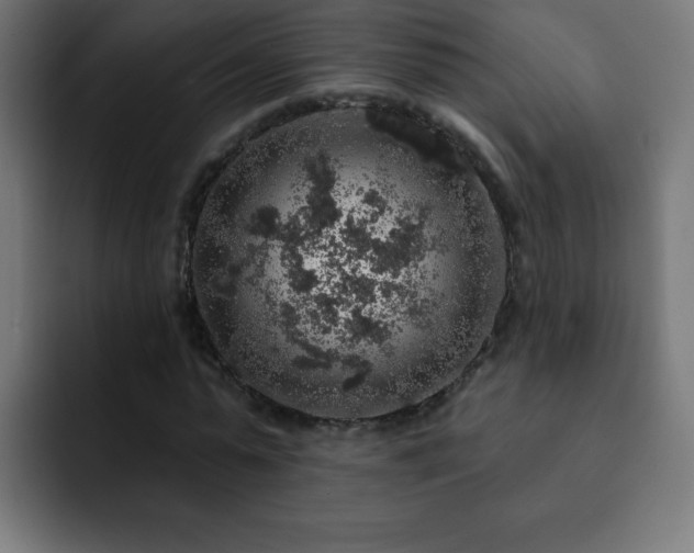 X0000093130775200710031351