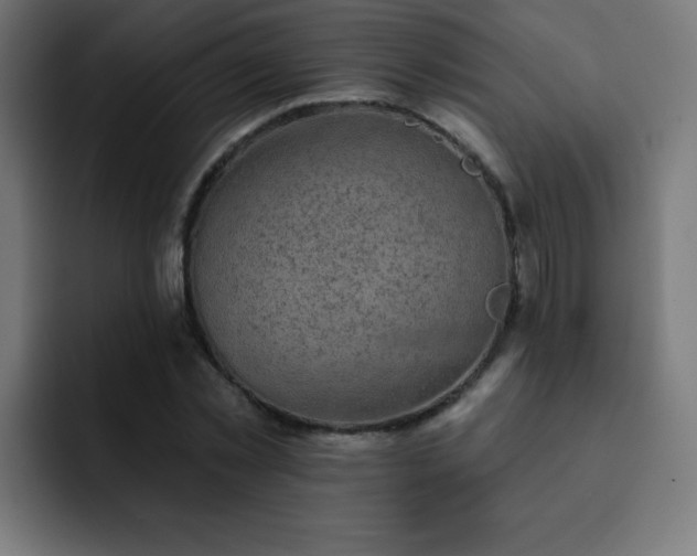 X0000093130781200710031351