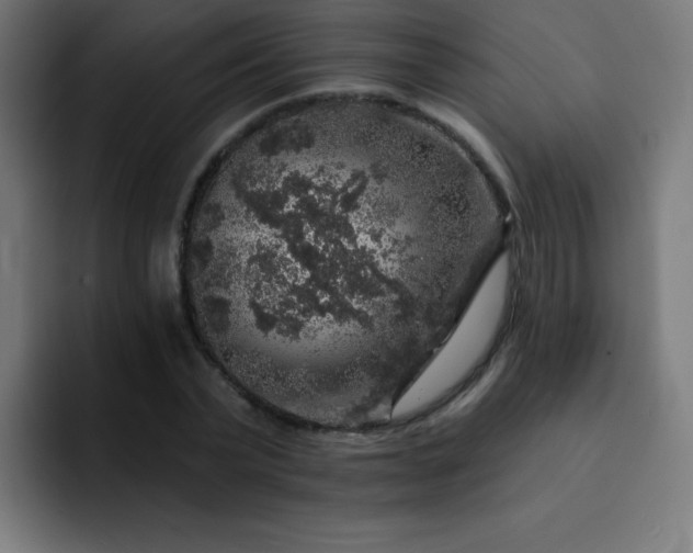 X0000093130783200710031351