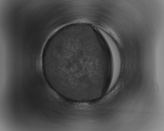 X0000093130784200710031351