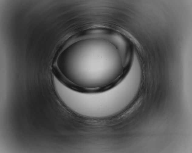 X0000093130785200710031351