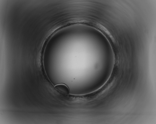 X0000093130786200710031351