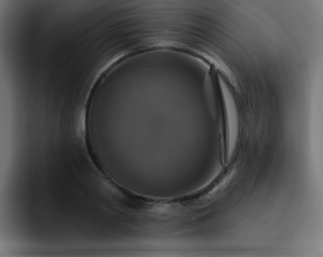 X0000093130790200710031351