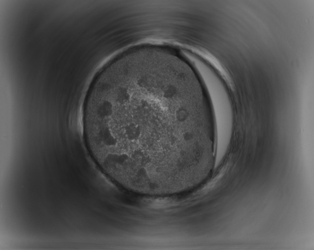 X0000093130791200710031351