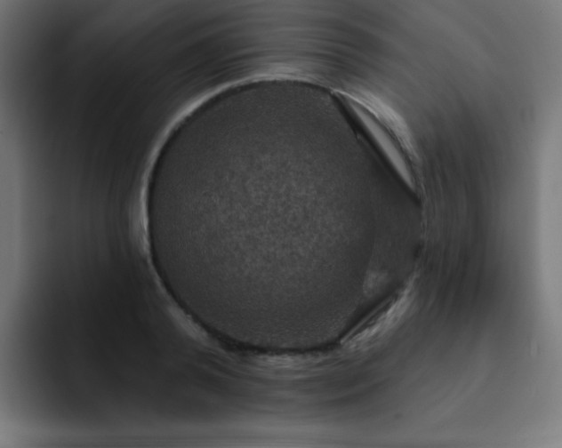X0000093130792200710031351