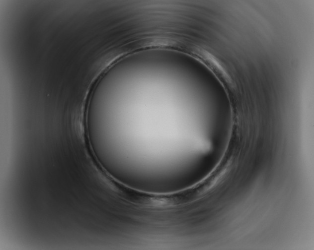 X0000093130794200710031351
