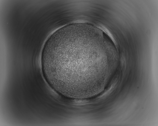 X0000093130795200710031351