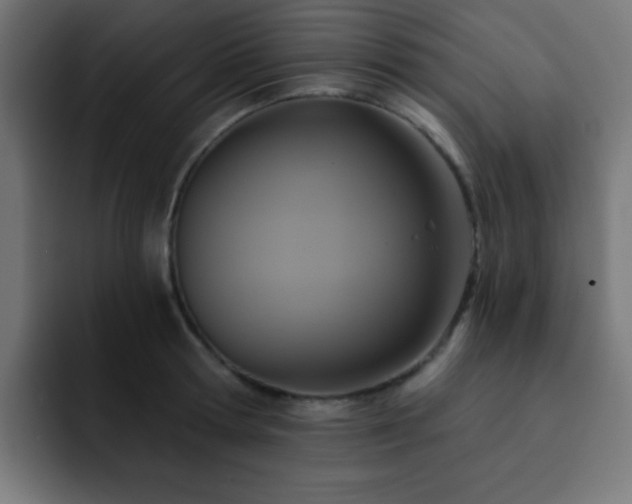 X0000093130802200710031351