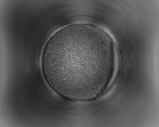X0000093130803200710031351