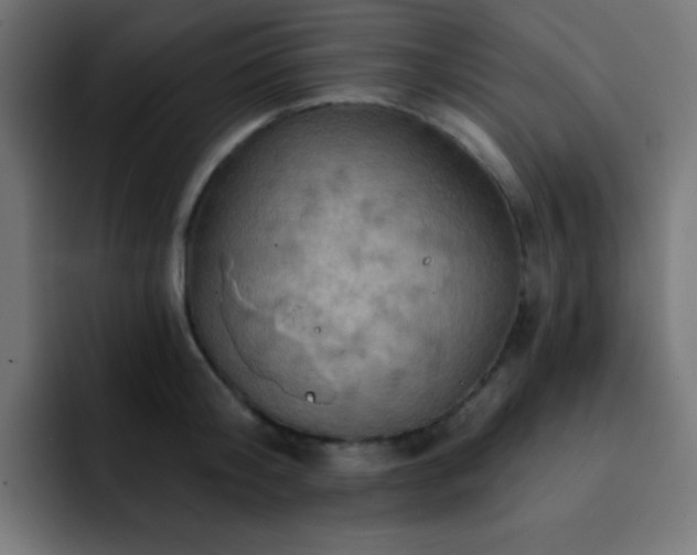 X0000093130804200710031351