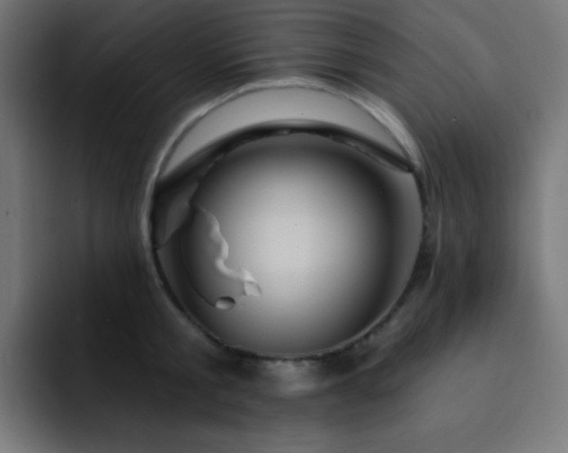 X0000093130805200710031351
