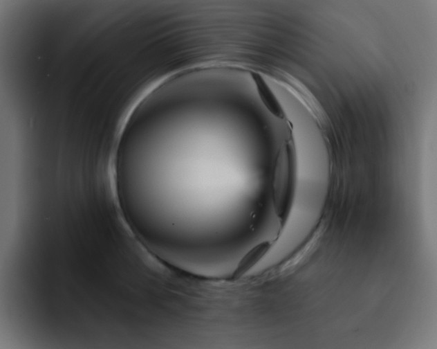 X0000093130812200710031351