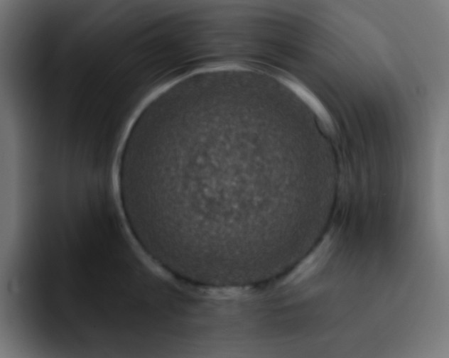 X0000093130813200710031350
