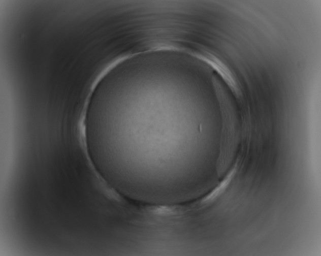 X0000093130814200710031350