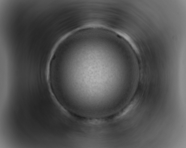 X0000093130815200710031350