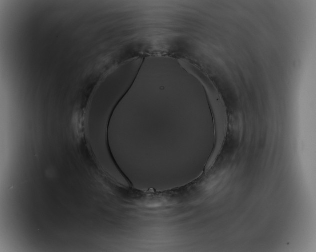 X0000093130818200710031350
