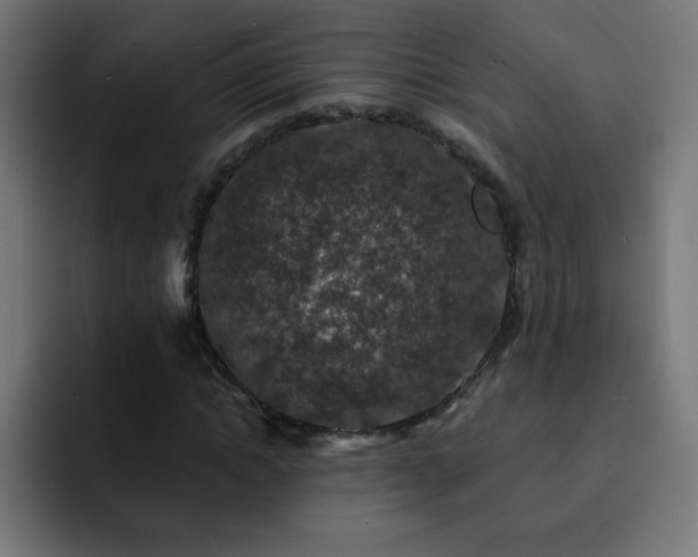X0000093130822200710031350