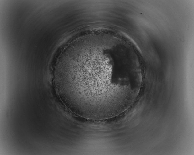 X0000093130823200710031350