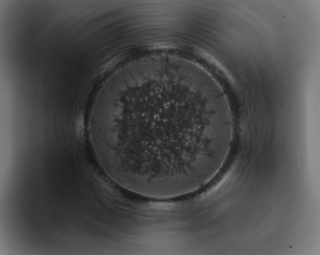 X0000093130825200710031350