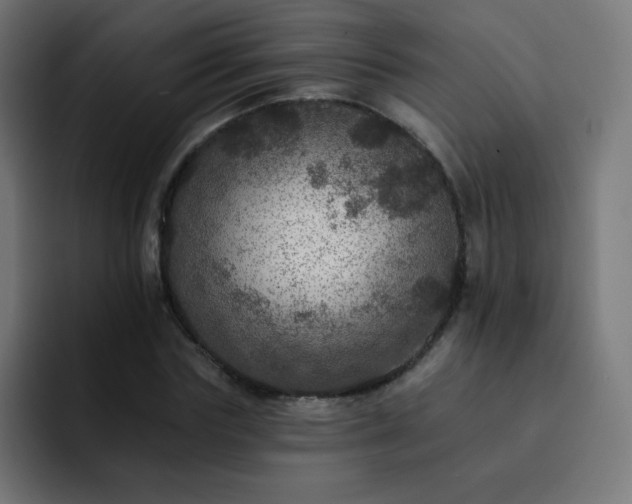 X0000093130827200710031350