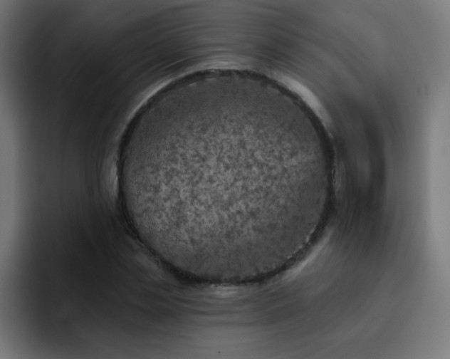 X0000093130829200710031350