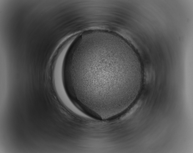 X0000093130830200710031350