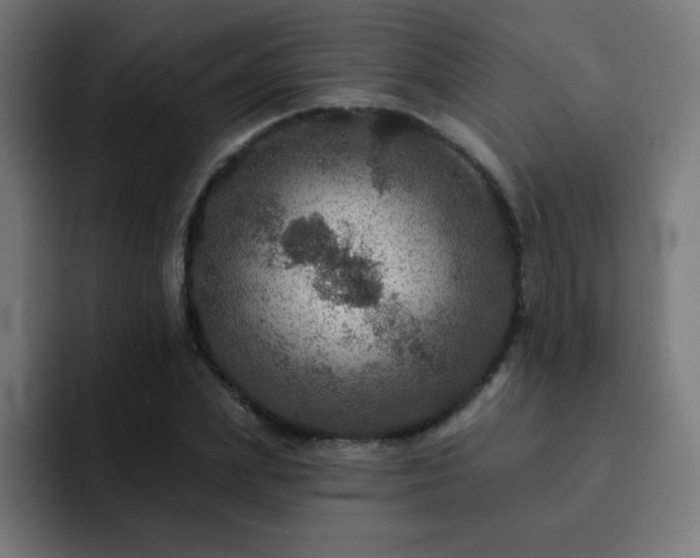 X0000093130831200710031350