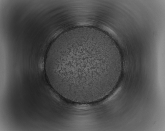 X0000093130833200710031350