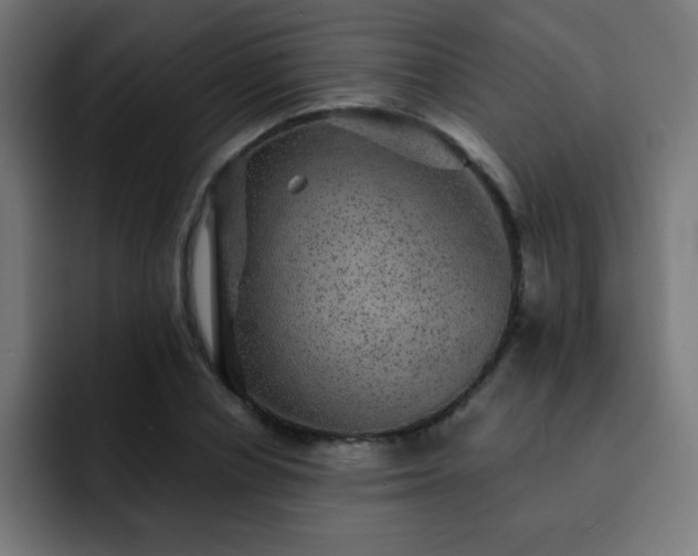X0000093130834200710031350
