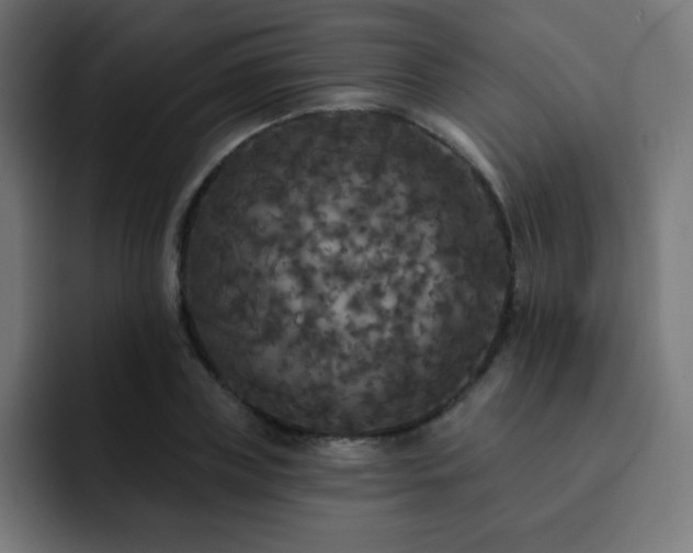 X0000093130835200710031350