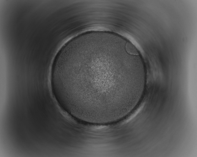 X0000093130837200710031350