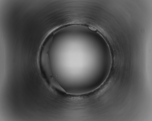 X0000093130838200710031350
