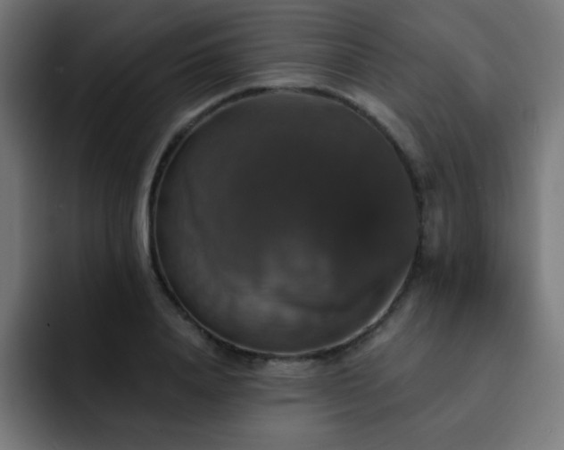 X0000093130840200710031350