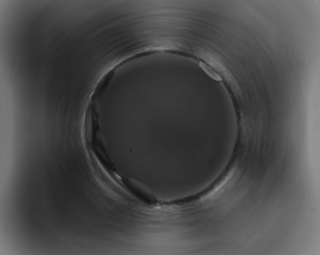 X0000093130842200710031350