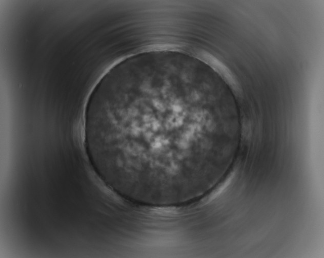 X0000093130844200710031350