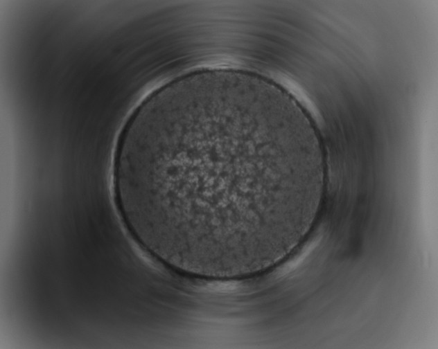 X0000093130845200710031350