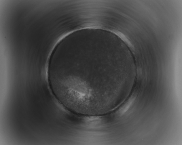 X0000093130846200710031350