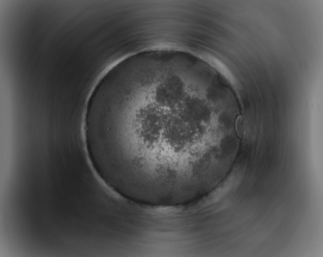 X0000093130847200710031350